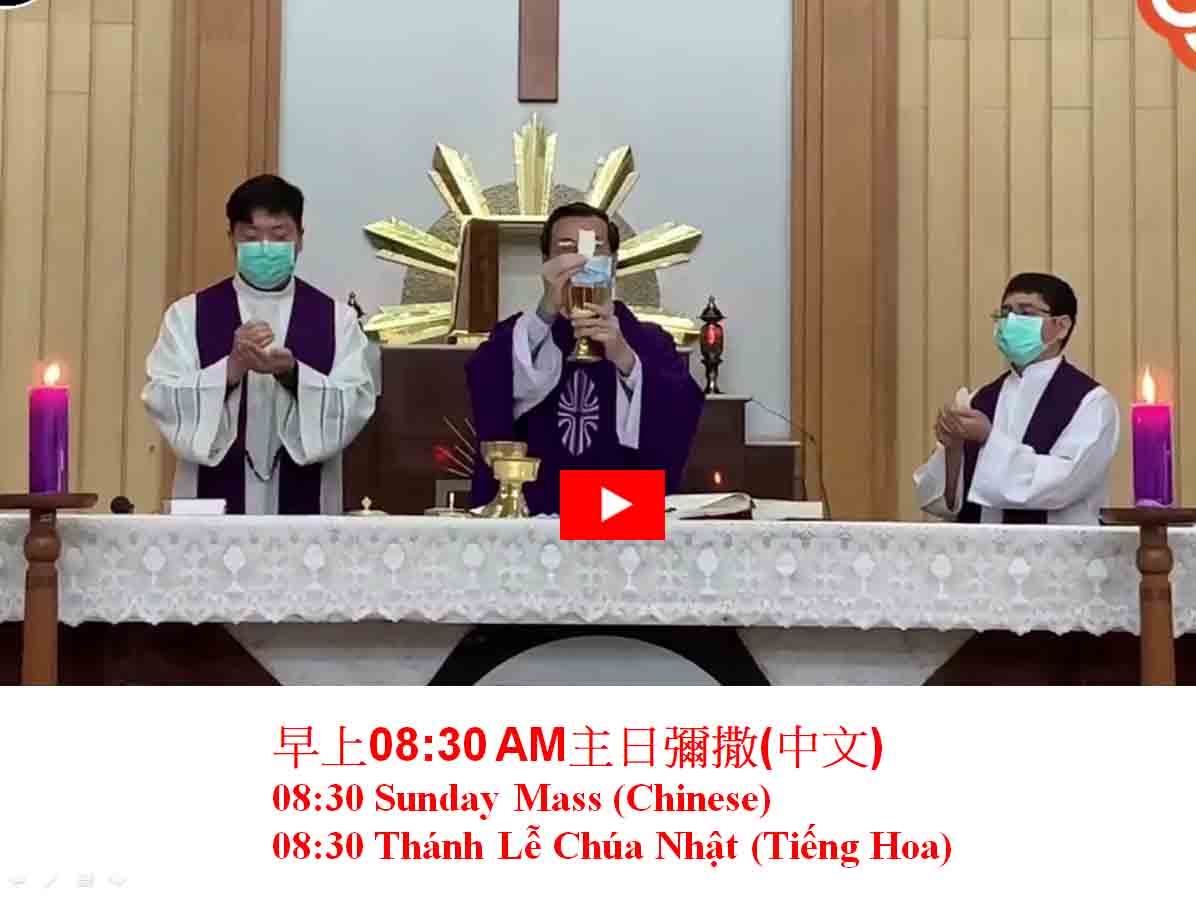 Holy Mass Live Stream